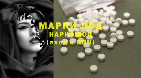 гидра Няндома