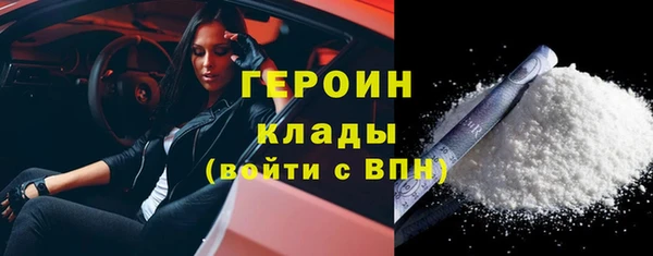 гидра Няндома