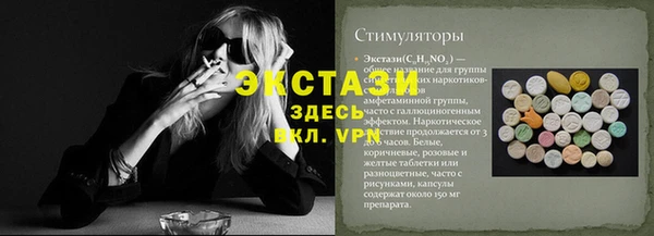 гидра Няндома