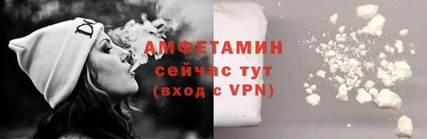 гидра Няндома
