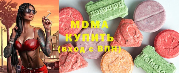 гидра Няндома