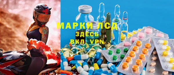хмурый Новозыбков
