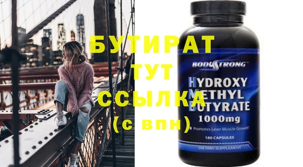 гидра Няндома