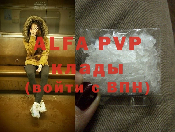 хмурый Новозыбков