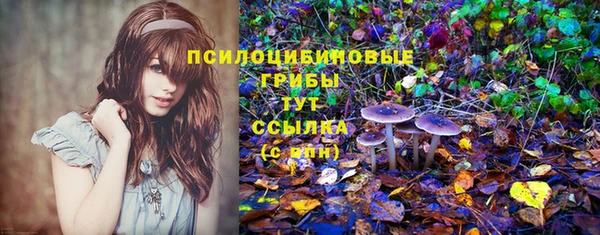 кокс Нягань