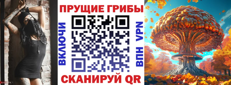 Галлюциногенные грибы Psilocybe  где найти наркотики  Новомичуринск 